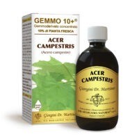 Gemmo 10+ Acero campestre (Acer campestris) gemmoderivato analcolico 500ml - dr.Giorgini