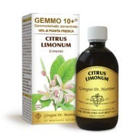 Gemmo 10+ Limone (Citrus limonum) gemmoderivato 500ml dr.Giorgini