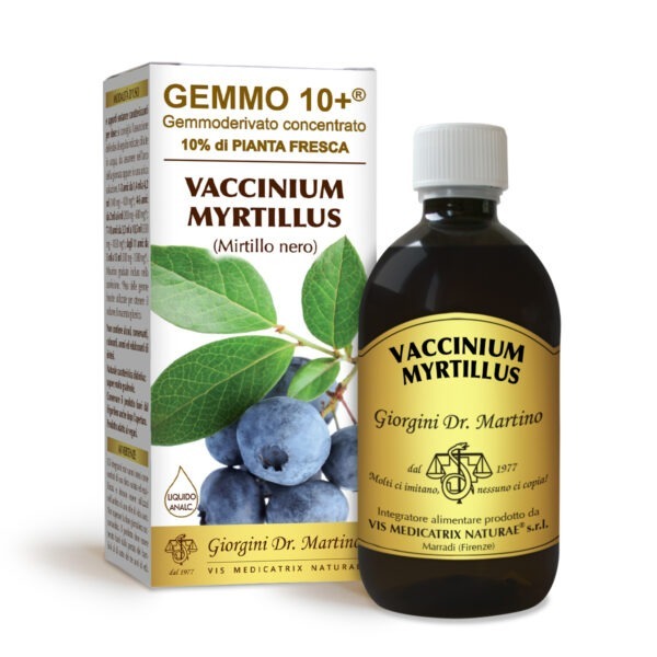 Gemmo 10+ Mirtillo nero (Vaccinium myrtillus) gemmoderivato 500ml - dr.Giorgini