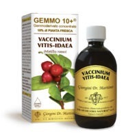 Gemmo 10+ Mirtillo rosso (Vaccinium vitis-idaea) gemmoderivato 500ml - dr.Giorgini