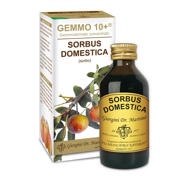 Gemmo 10+ Sorbo Domestico gemmoderivato di Sorbus Domestica 100ml - dr.Giorgini