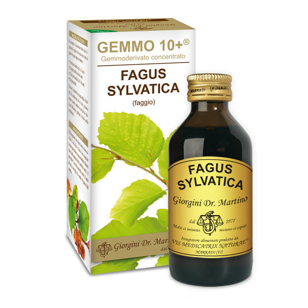 Gemmo 10+ Faggio (Fagus sylvatica) gemmoderivato analcolico 100ml dr.Giorgini