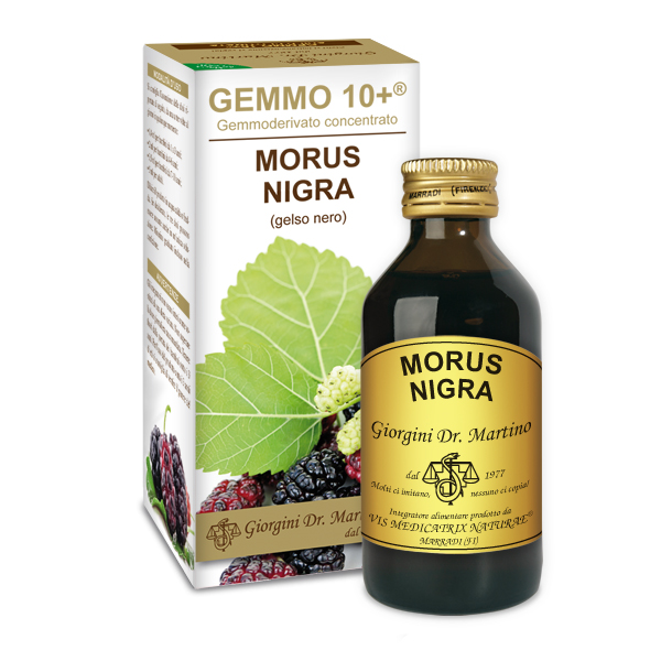 Gemmo 10+ Gelso nero (Morus nigra) gemmoderivato 100ml - dr.Giorgini