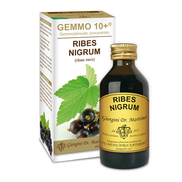 Gemmo 10+ Ribes Nero (Ribes nigrum) gemmoderivato 100ml dr.Giorgini