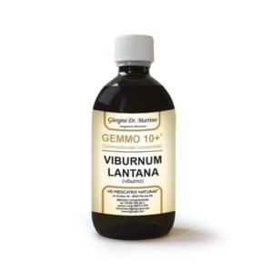GEMMO 10+ VIBURNO 500 ML ANALCOLICO