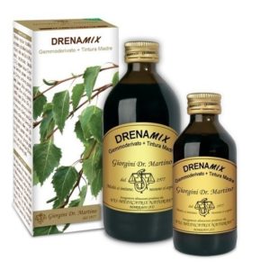 DRENAMIX 100 ML ANALCOLICO DR.GIORGINI