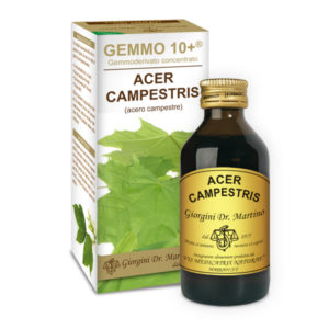 GEMMO 10+ ACERO CAMPESTRE 100ML ANALCOLI