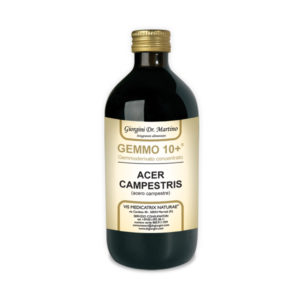 GEMMO 10+ ACERO CAMPESTRE 500ML ANALCOLI