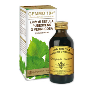 GEMMO 10+ BETULLA LINFA 100 ML ANALCOLIC