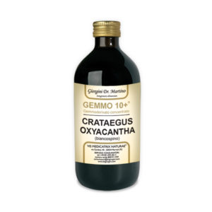 GEMMO 10+ BIANCOSPINO 500 ML ANALCOLICO