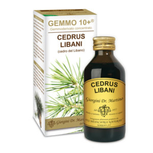 GEMMO 10+ CEDRO DEL LIBANO 100ML ANALCOL