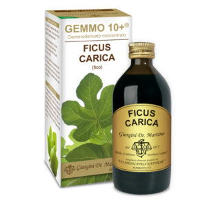 GEMMO 10+ FICO 200 ML FICUS ANALCOLICO