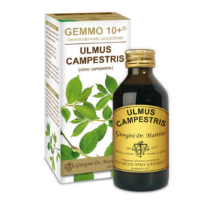 GEMMO 10+ OLMO CAMPESTRE 100ML ANALCOLIC