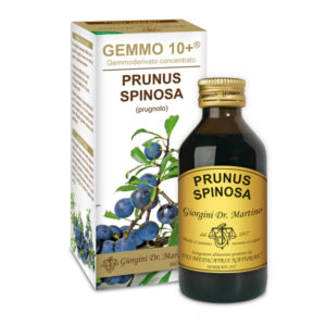 GEMMO 10+ PRUGNOLO 100 ML ANALCOLICO