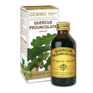 GEMMO 10+ QUERCIA 100 ML ANALCOLICO