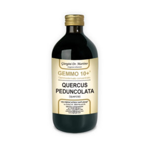 GEMMO 10+ QUERCIA 500 ML ANALCOLICO