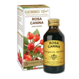 GEMMO 10+ ROSA CANINA 100 ML ANALCOLICO