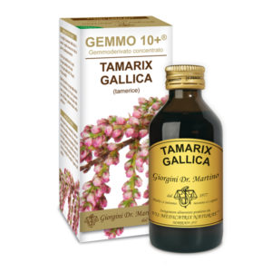 GEMMO 10+ TAMERICE 100 ML ANALCOLICO