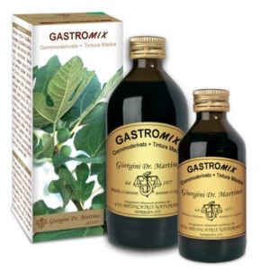 GASTROMIX 200 ML ANALCOLICO