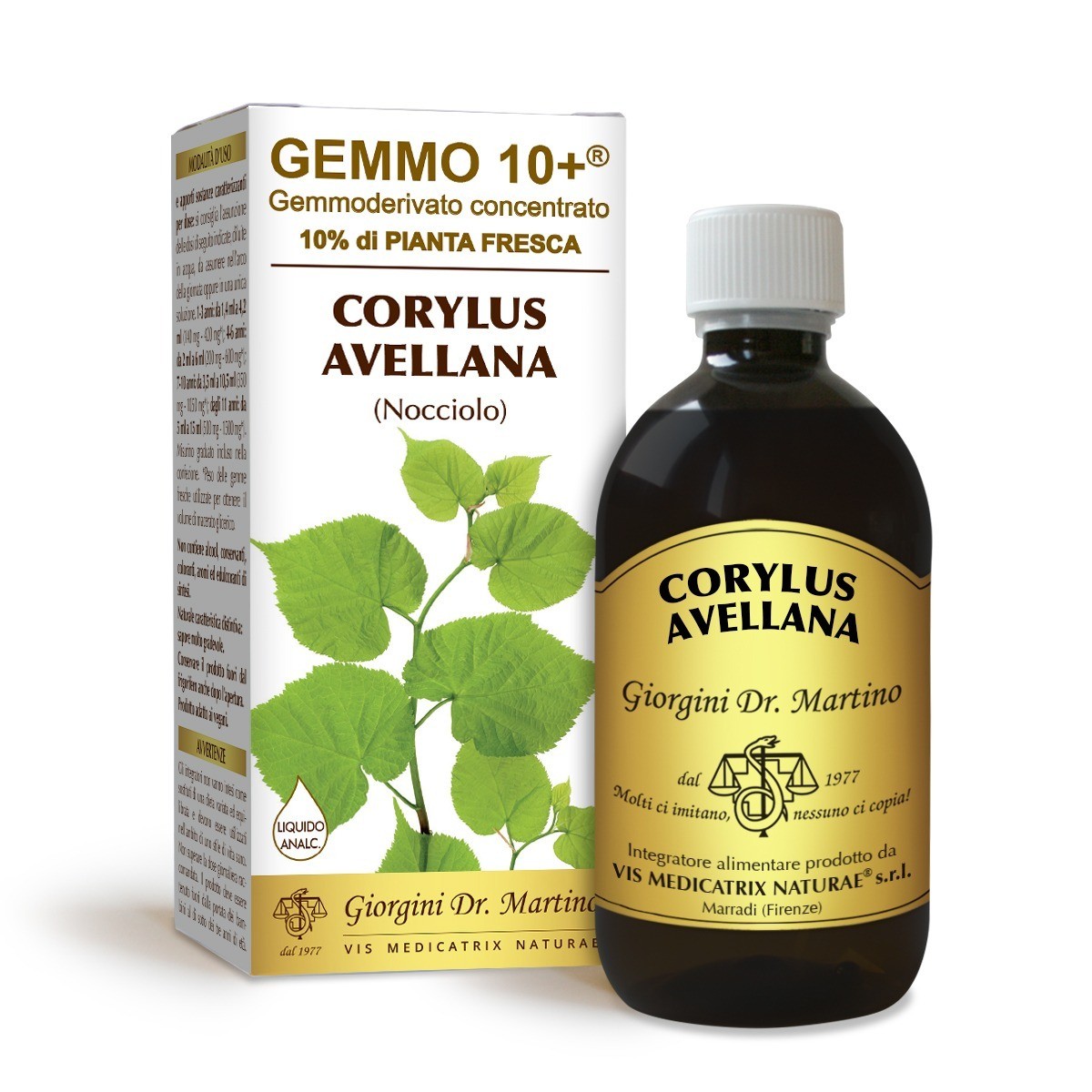 Gemmo 10+ Nocciolo (Corylus avellana) gemmoderivato 500ml - dr.Giorgini
