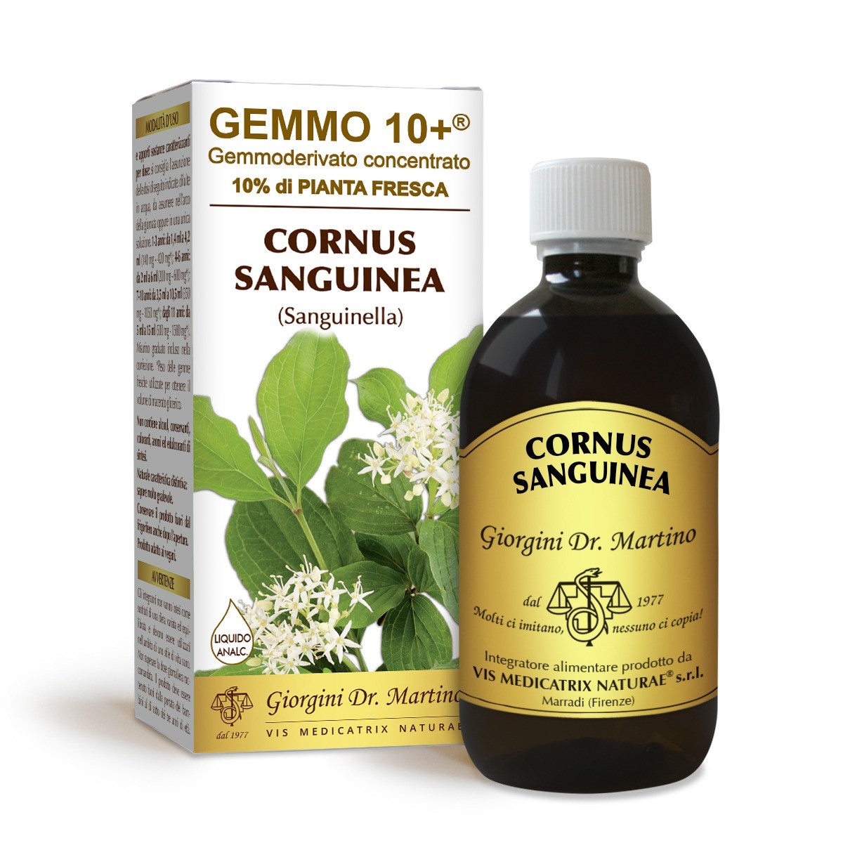 Gemmo 10+ sanguinella (Cornus sanguinea) gemmoderivato 500ml dr.Giorgini